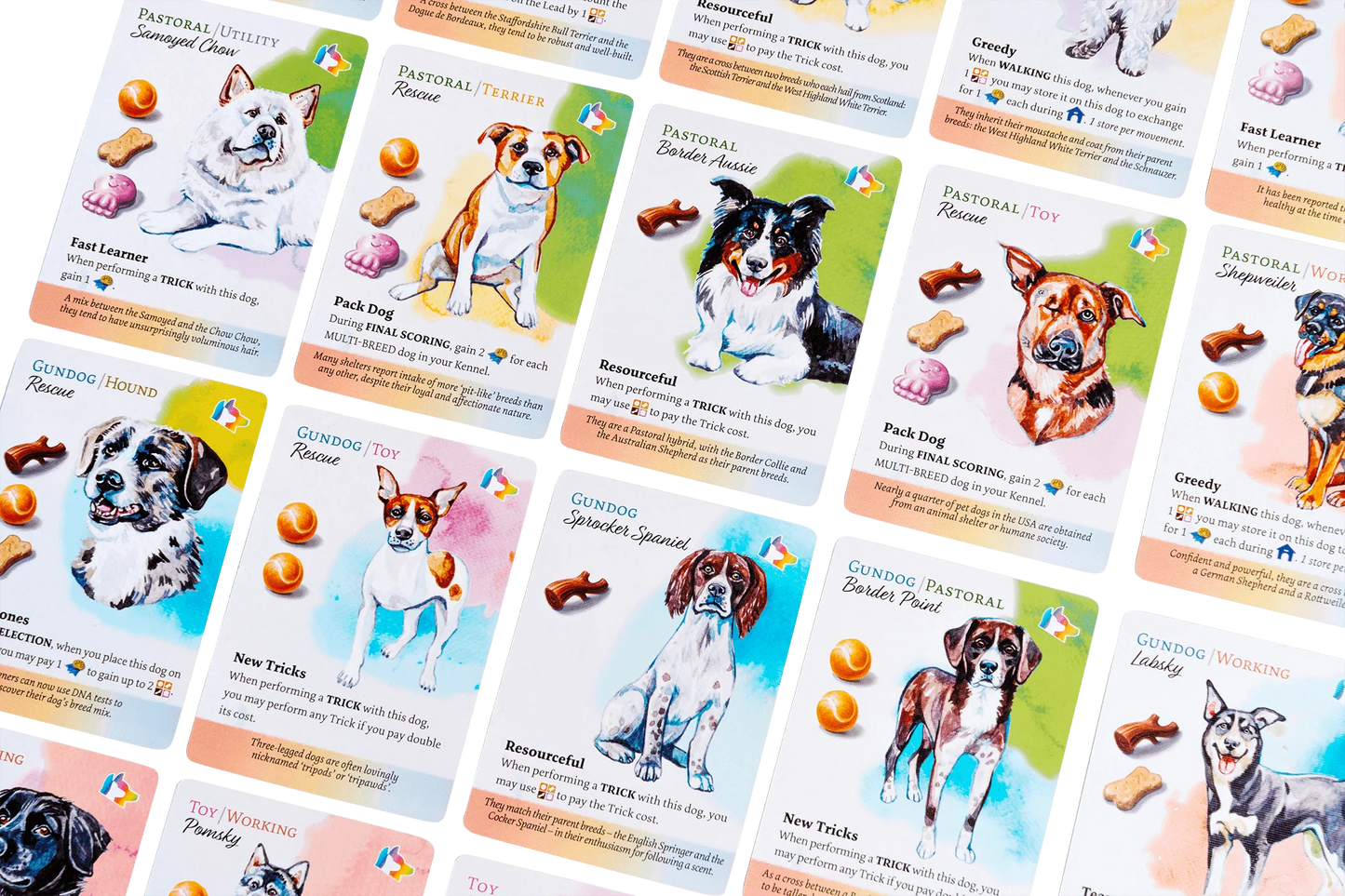 Dog Park: New Tricks Collector's Edition
