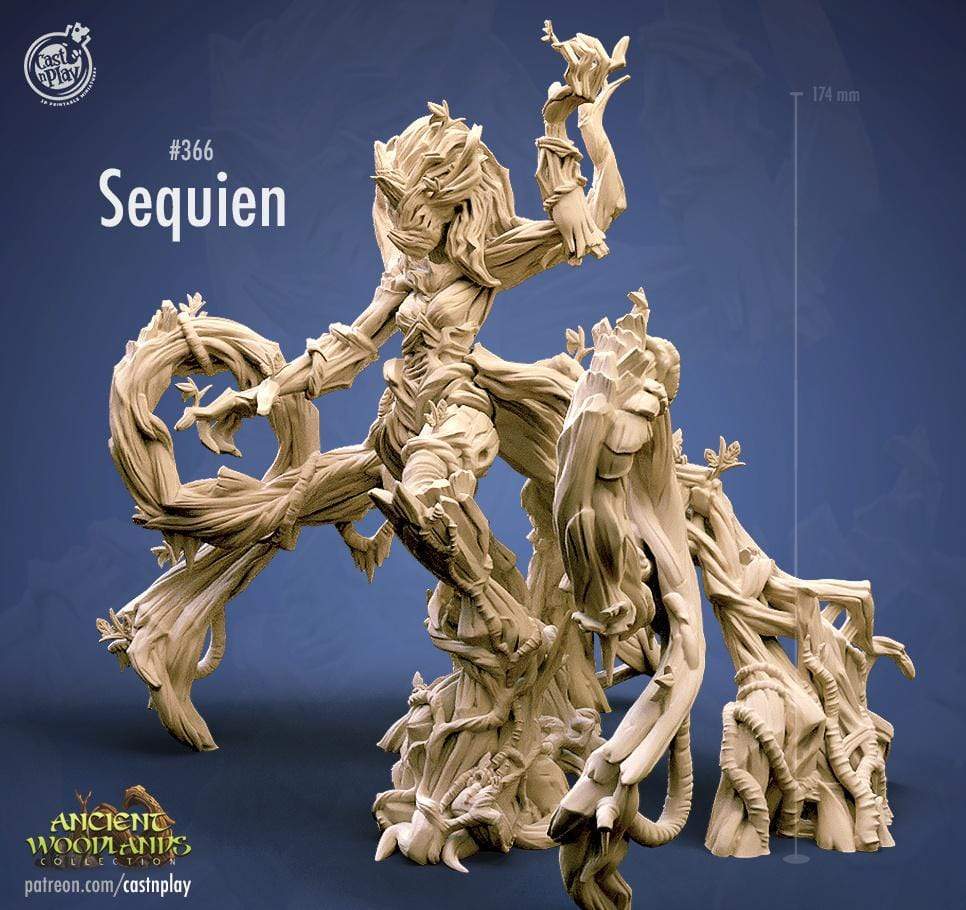 Full Set of Ancient Woodlands - GameWorkCreate LLC