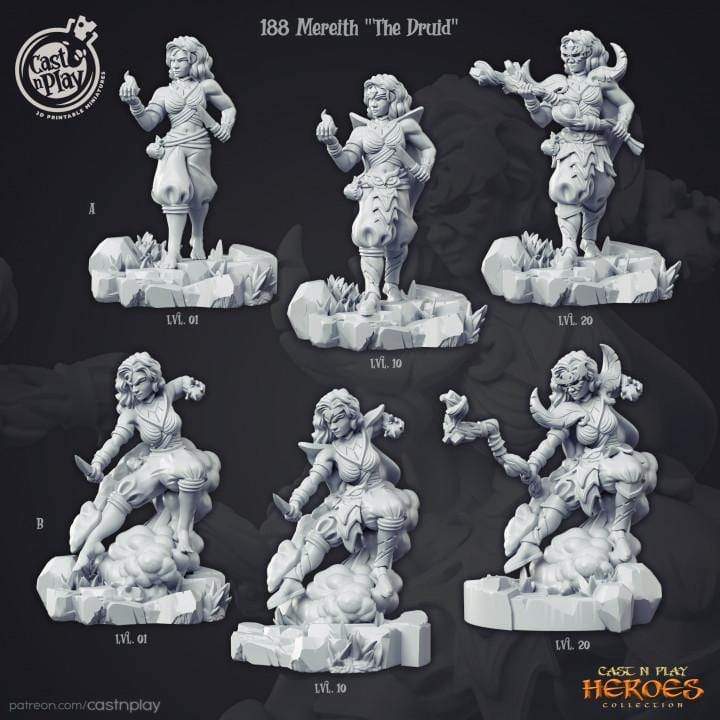 Mereith "The Druid" Cast N Play, CNP Heroes, Resin Miniature