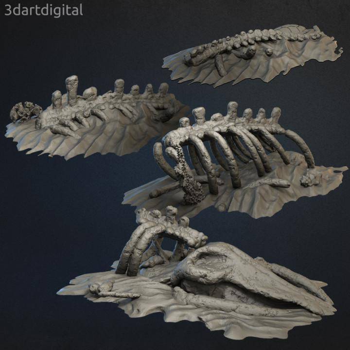 The Sea King's Bones
